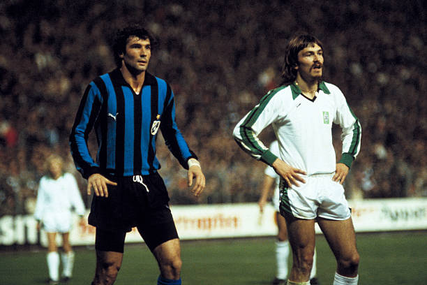 兰青年杯带 兰青年杯带